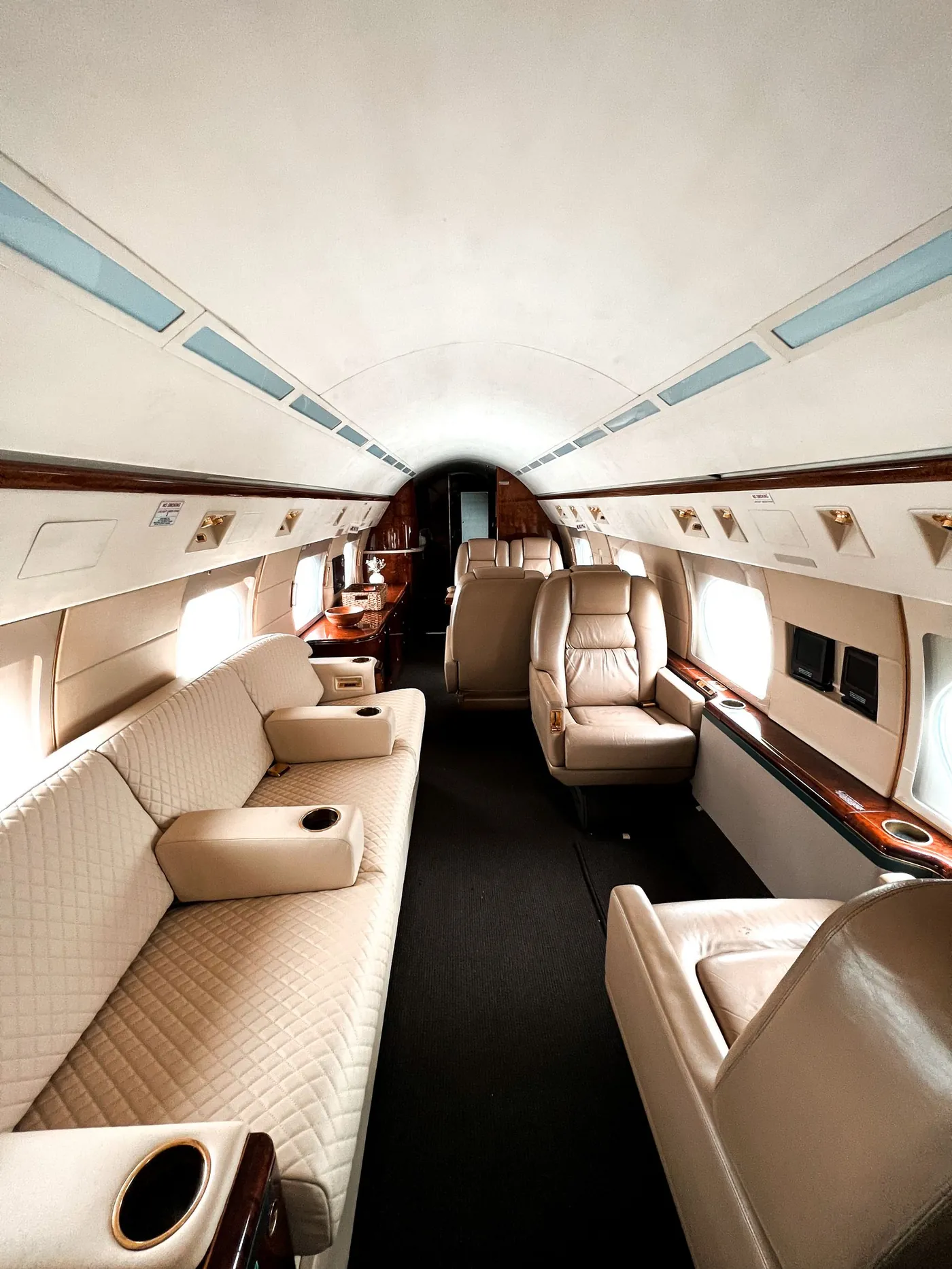 Executive aircraft cabin with leather seating and wood veneer finishes